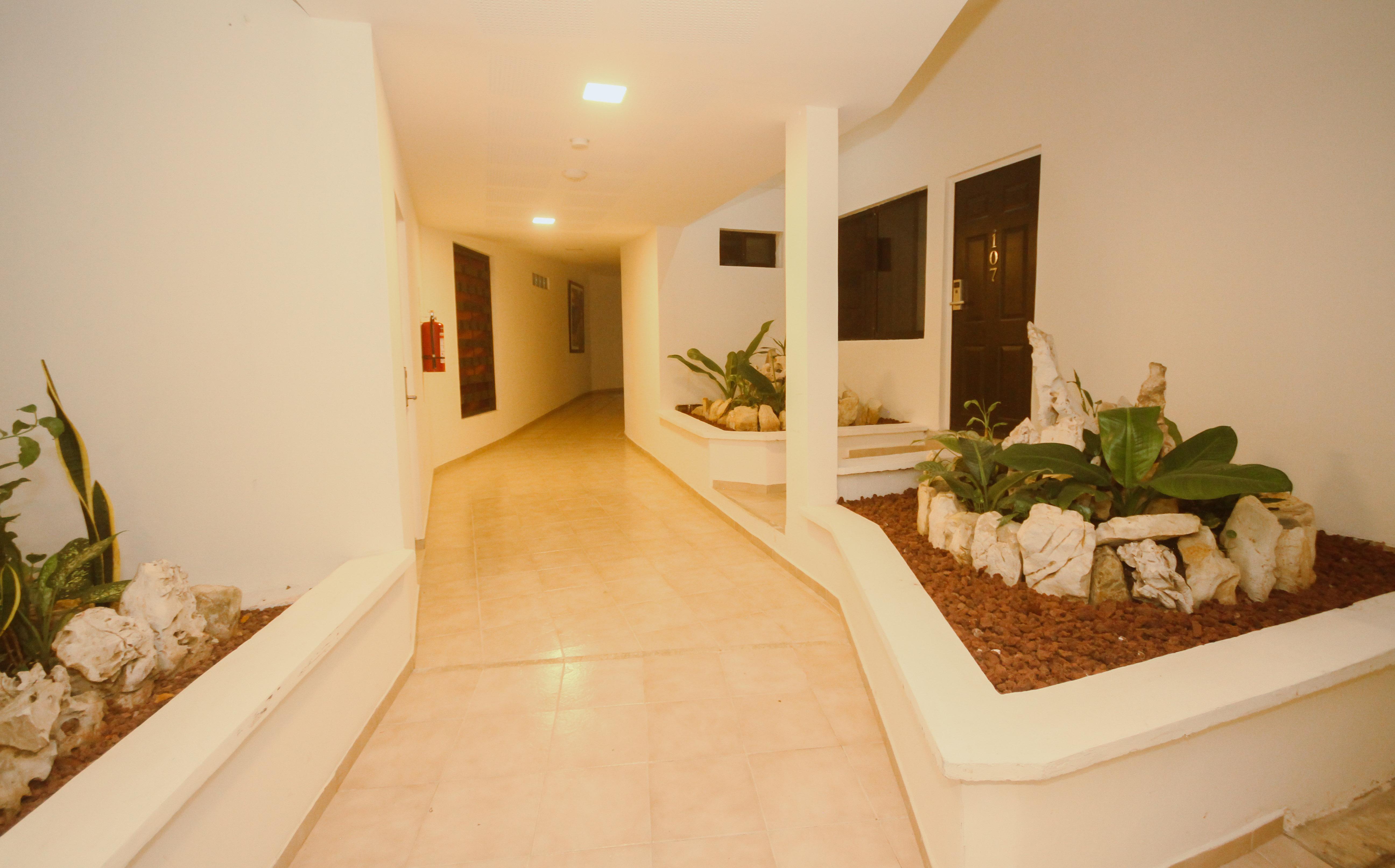 Hotel Maya Tulipanes Palenque Exteriér fotografie